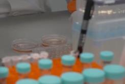 中國首個人源干細胞國家標準發布