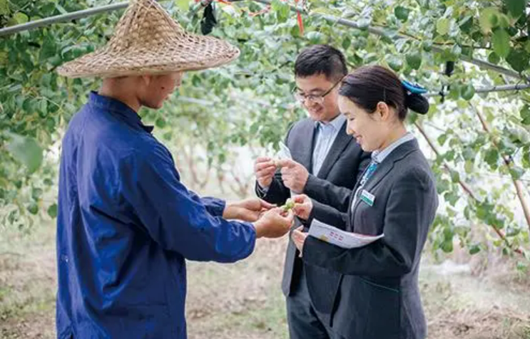 關于延續實施金融機構農戶貸款利息收入免征增值稅政策的公告