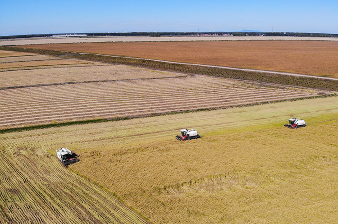 “豐”景如畫 滿載希望——全國糧食主產區保秋收見聞