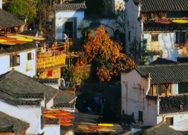 特色民宿成假期旅游“新風景” 鄉村景點“打卡”同比增長60%
