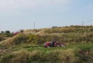 各地蔬果飄香采收忙 映出鄉村金秋好“豐”光