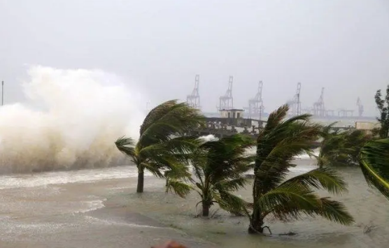 應急管理部發布2023年前三季度全國自然災害情況