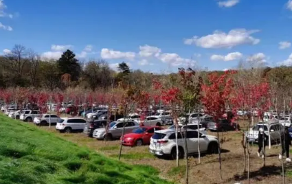 吉林“雙節”旅游“爆火” 收入創歷史新高