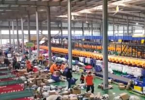 電商物流表現搶眼、有亮點 居民消費意愿逐步增強
