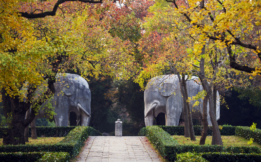 廿載明孝陵——從這里，看人文與經濟如何共生共榮