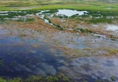 各地采取多項措施推進濕地保護與發展 生態保護修復成效顯著