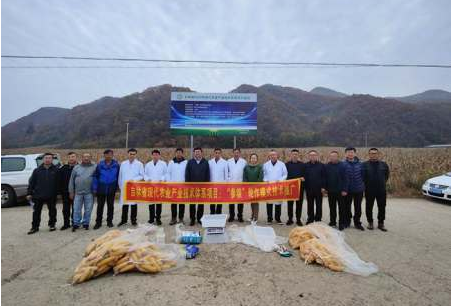 增產32%！ 吉林省“參糧輪作”示范區增產效果明顯