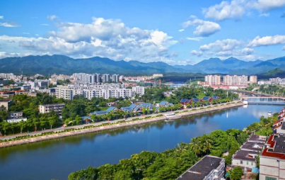 海南白沙：“兩山平臺”助力生態產業“點綠成金”