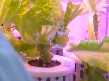 載人登月、載人登火星、環控生保……太空植物栽培還有大作為