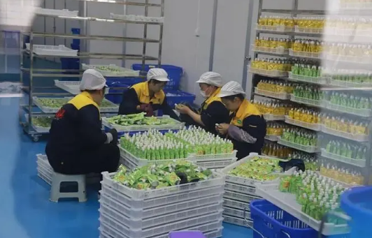 貴州安順打造百億級醫藥及旅游食品產業集群