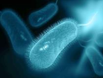 江蘇發布“幽門螺桿菌感染與耐藥地圖”