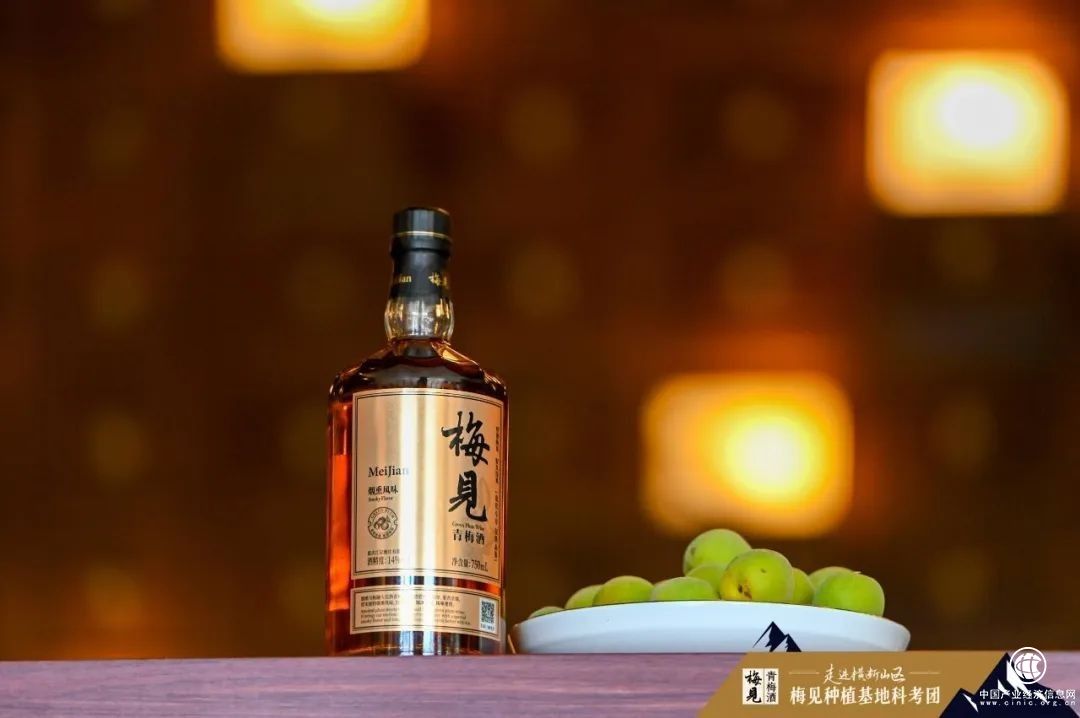 梅見十年：一場低度酒賽道發展的“樣本答卷”