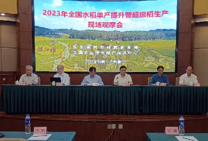 推進超級稻技術集成推廣 助力水稻單產提升