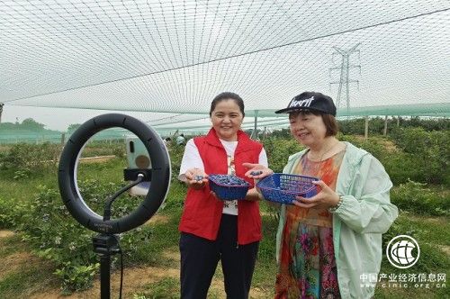 浙江嵊州市煙草專賣局：直播助農添暖意 文明創建做先鋒