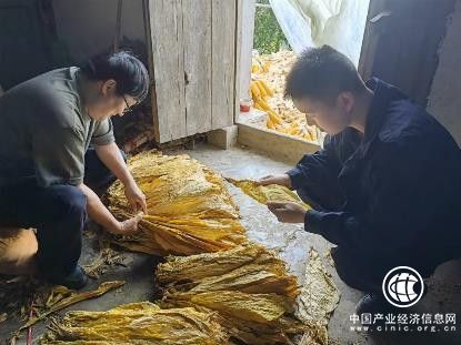 湖北武漢：溯本求源，更高更遠