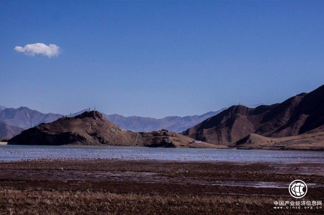 從文化寶庫中探驪得珠，西藏羊達助力鄉村振興高質量發展