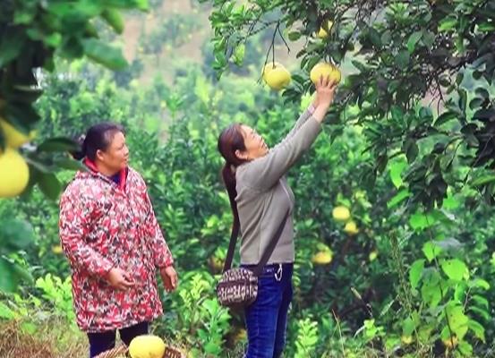 鄉村振興闊步前行正當時 群眾腰包越來越鼓、生活越來越好