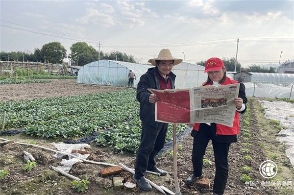 浙江嵊州市煙草專賣局：志愿普法“心連心” “香溢”助農促增收
