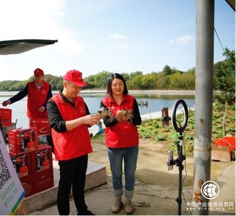 1700031603785623.png image.png