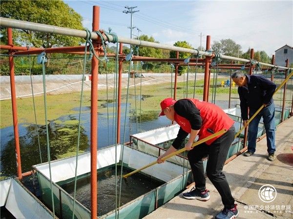 浙江長興：同滋共味助農忙 “蟹”逅太湖“極速鮮”