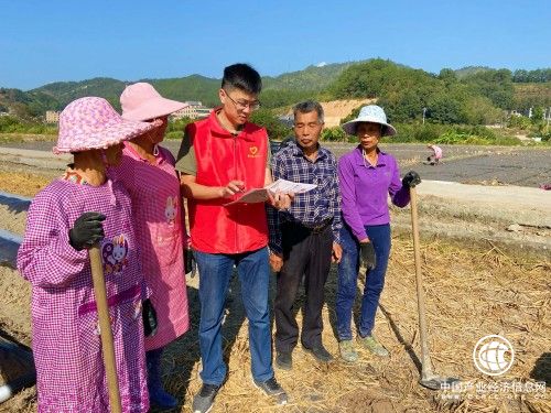 “志愿”力量繪就新時代文明畫卷