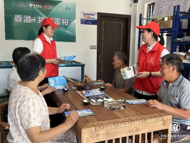 浙江新昌：以農網建設助力鄉村振興