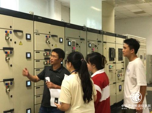 “斜杠青年”養成記