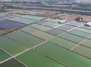 從“土里刨食”到“水里淘金” 特色養殖“游”出富民大產業