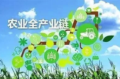 山東肥城：打造百億元農業全產業鏈