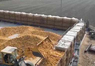 大國糧倉科技范兒十足 綠色優儲讓糧食住進好“房子”