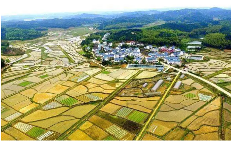 提升自然資源領域服務 保障鄉村振興用地能力