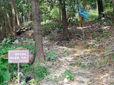 切實加強對“野景點”監管