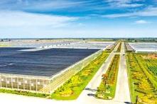 內蒙古：牢牢抓住科技創新這個“牛鼻子”