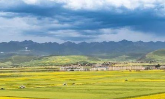 青海省鄉村旅游預計實現收入13億元