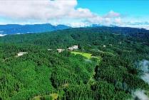 四川出臺生態系統碳匯能力鞏固提升實施方案