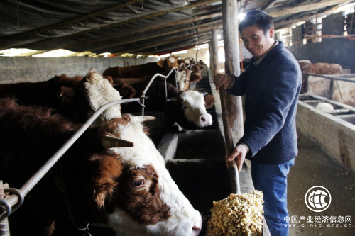 利川趙登亮：秸稈飼料化 降本促增收