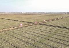 江蘇省部署推進冬春農田水利和高標準農田建設