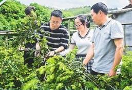 四川省發布休閑農業職業經理人職業技能標準