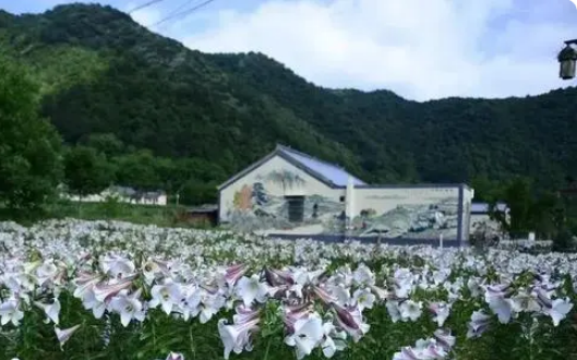 秦嶺深處綻新綠——航天科技助力鄉村振興觀察