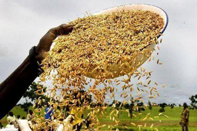 聯合國糧農組織首發應對氣候變化產業路線圖