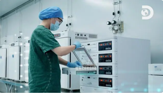 20231212113108522.png 20231212113108522.png