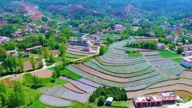 脫貧后靠什么實現持續增收——來自云南昭通的調查