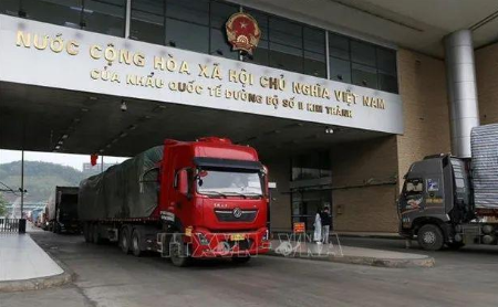 11月貿易規模創月度歷史新高 中越經貿合作亮點紛呈