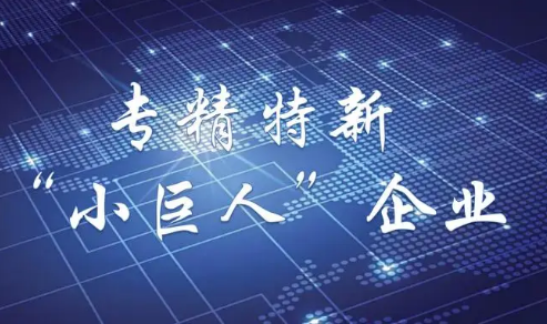 云南出臺財政金融協同措施支持專精特新“小巨人”企業發展