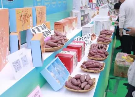 廣東聚力推動“小紅薯”做成“大產業”