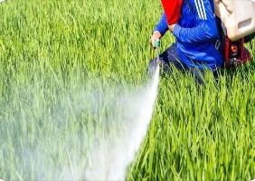 2023年全國農業有害生物抗藥性風險評估與治理會議在杭州召開