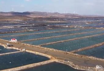 “保暖”服務專班提供精細化服務 保障漁業畜牧業生產安全