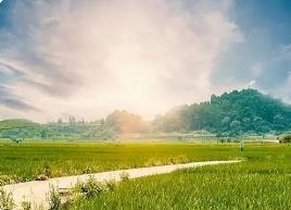 用好政策“組合包”“工具箱” 強化旅游產業用地保障