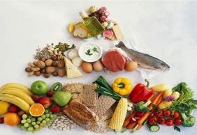 2023年中國食物與營養發展報告發布