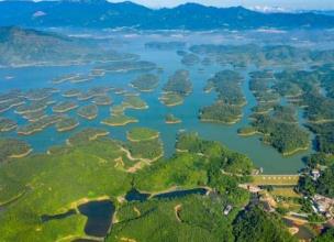 廣東新增9處省級重要濕地